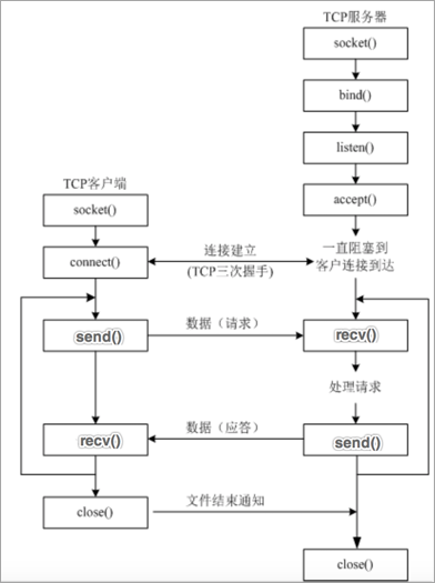 TCP客户端程序开发流程